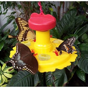 Songbird Essentials SE78200 Butterfly Feeder B005GYC5QW