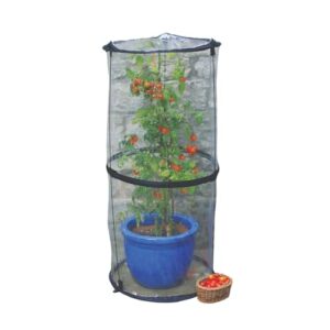 Tierra Garden 50 6070 Haxnicks Pop B00B2KMJTC